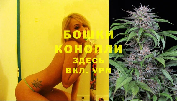 трава Алзамай