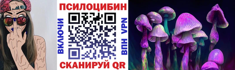 Псилоцибиновые грибы Cubensis  купить   мориарти как зайти  Апшеронск 